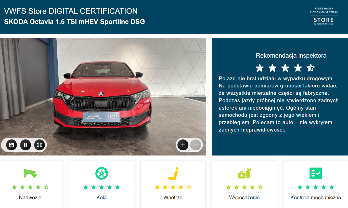 raport Skoda - STORE